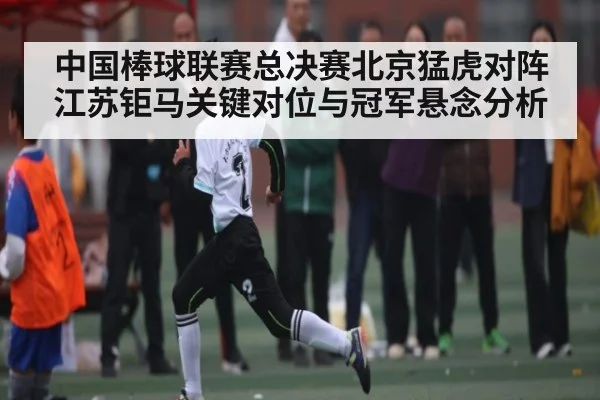 中国棒球联赛总决赛北京猛虎对阵江苏钜马关键对位与冠军悬念分析