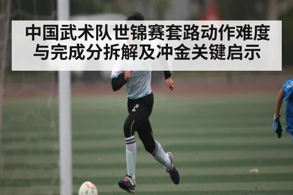 中国武术队世锦赛套路动作难度与完成分拆解及冲金关键启示