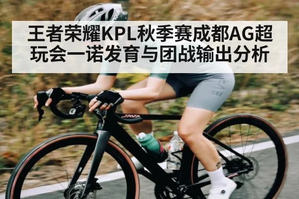 王者荣耀KPL秋季赛成都AG超玩会一诺发育与团战输出分析